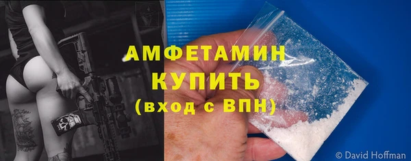 ПСИЛОЦИБИНОВЫЕ ГРИБЫ Ельня