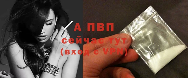 ПСИЛОЦИБИНОВЫЕ ГРИБЫ Ельня