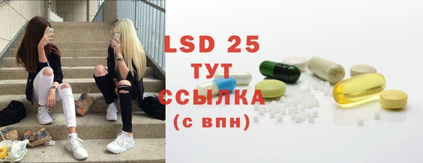 ПСИЛОЦИБИНОВЫЕ ГРИБЫ Ельня