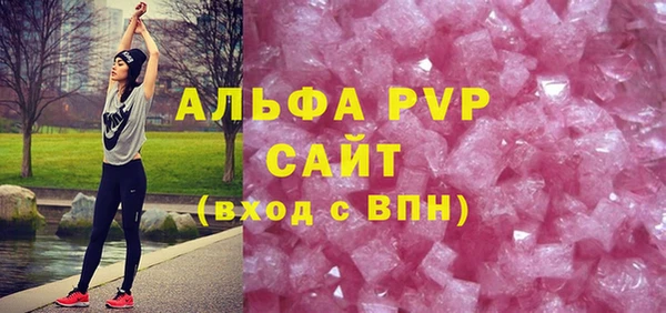ПСИЛОЦИБИНОВЫЕ ГРИБЫ Ельня