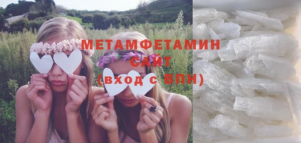 ПСИЛОЦИБИНОВЫЕ ГРИБЫ Ельня
