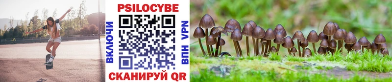 Псилоцибиновые грибы Psilocybine cubensis  Новое Девяткино 